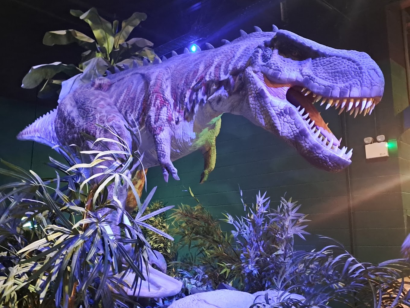 Volcano Falls Adventure Golf - Xscape Castleford