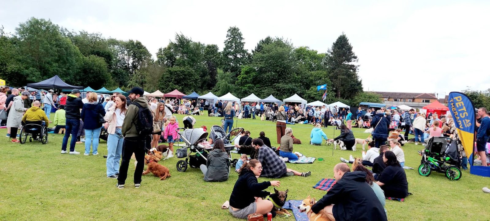 Paw-tea in the park