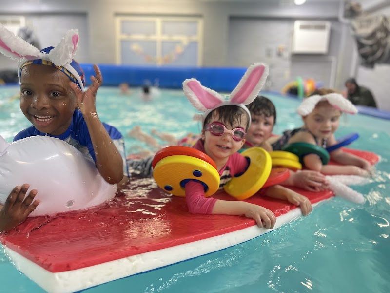 Swimming School at The Swim Team Scholes