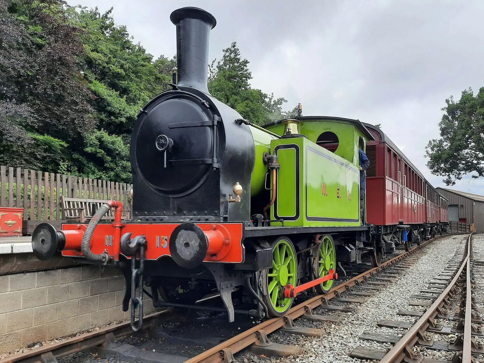 Teddy Bear Specials and Bluebell Walks