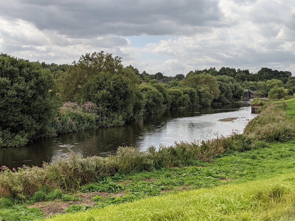 Skelton Country Park