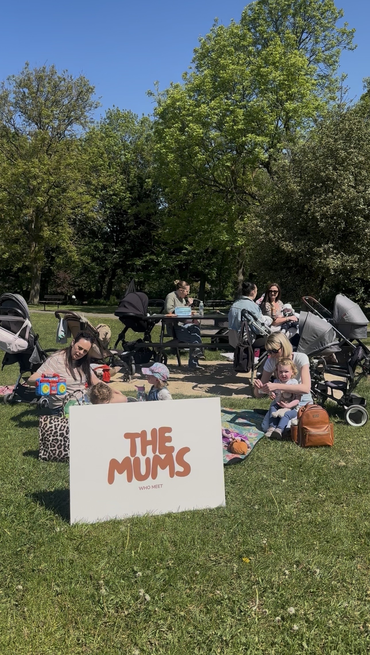 The Mums Who Lunch 