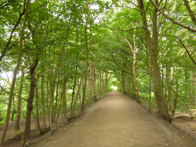 Bramley Fall Park