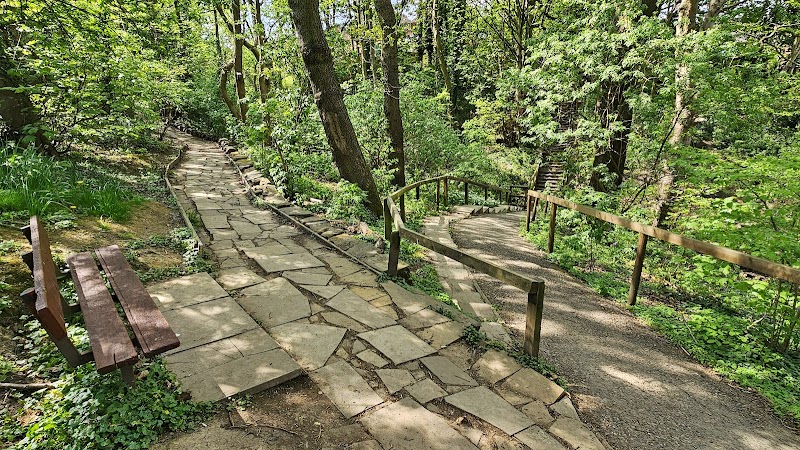 Churwell Urban Woodlands - Daffil Woods