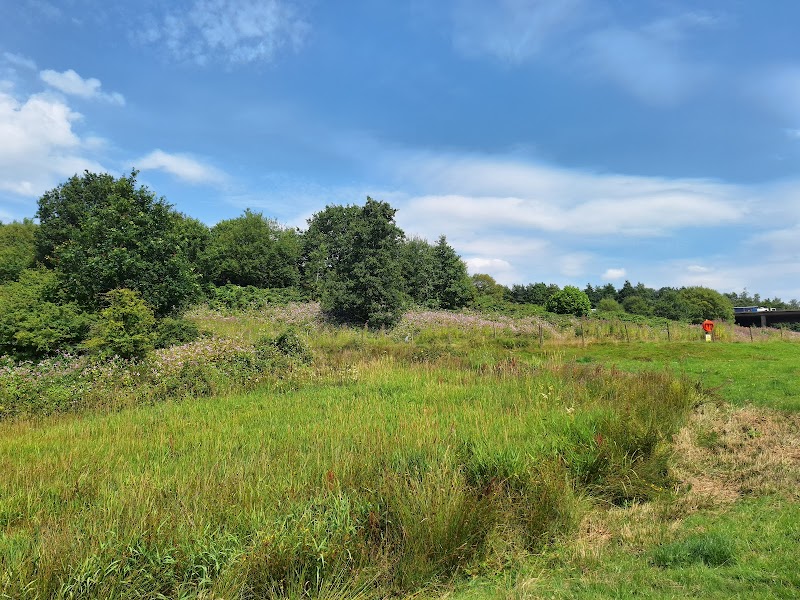 Hollins Vale Local Nature Reserve