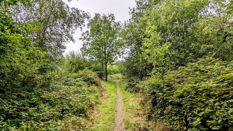 Moston Fairway Nature Reserve