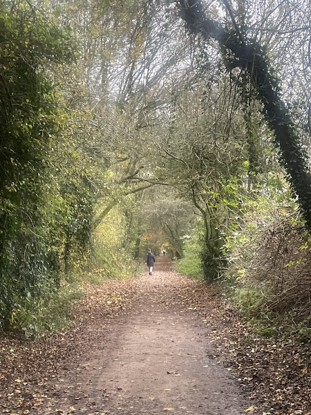 Kirklees Valley Local Nature Reserve