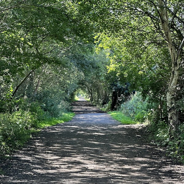 Black Moss Covert Nature Reserve