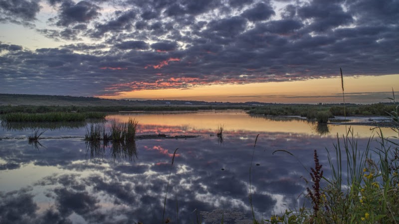 RSPB St Aidan's