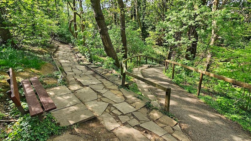 Churwell Urban Woodlands - Daffil Woods