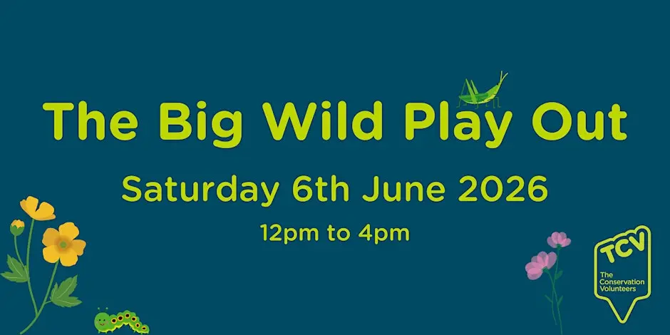 The Big Wild Play Out