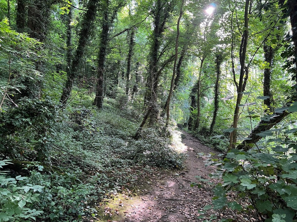 Brockadale Nature Reserve