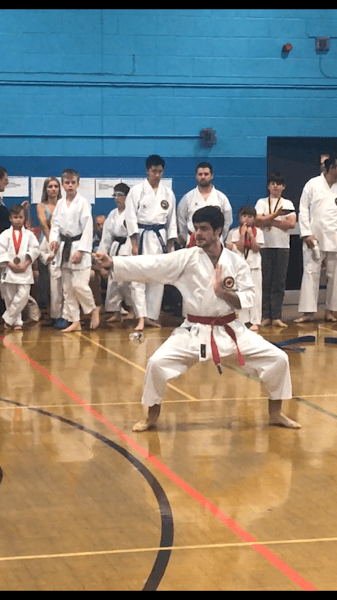 Martial Arts Lessons