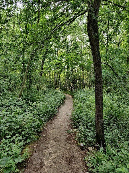 Water Haigh Woodland Park