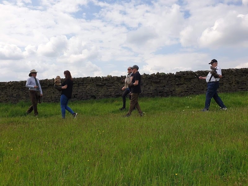 Shibden Valley Falconry