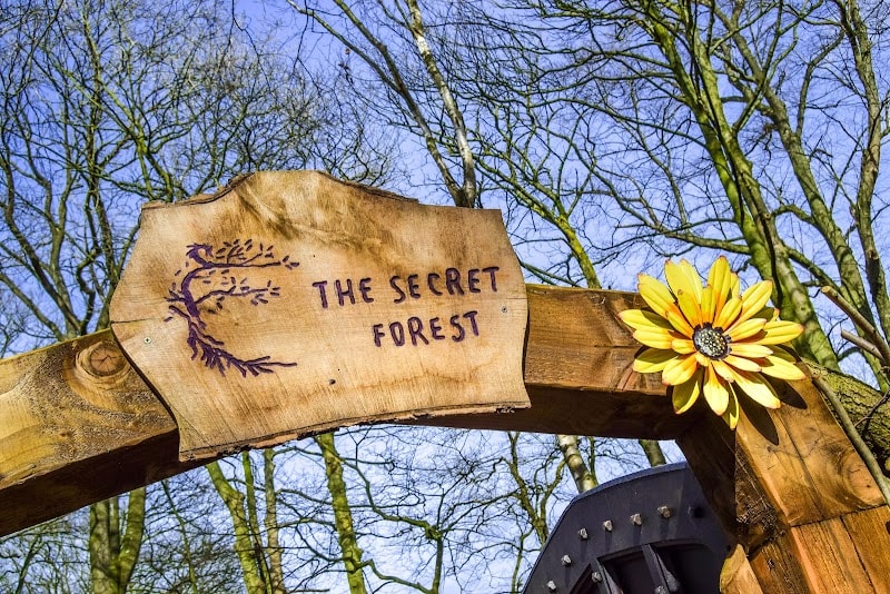 The Secret Forest