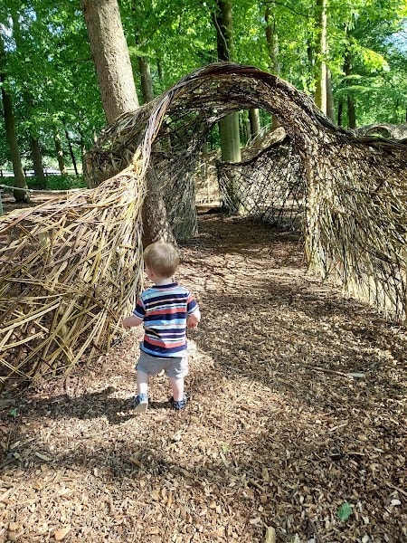 Harewood's Woodland Wonderland