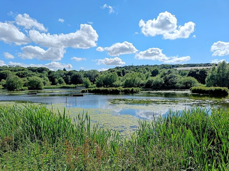 Rodley Nature Reserve