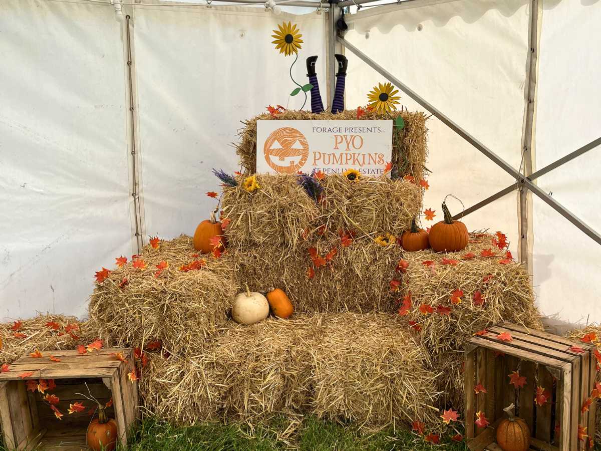 Pick Your Own Pumpkins 2026