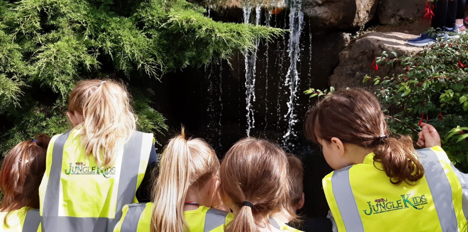 Jungle Kids Holiday Club at Jungle Kids