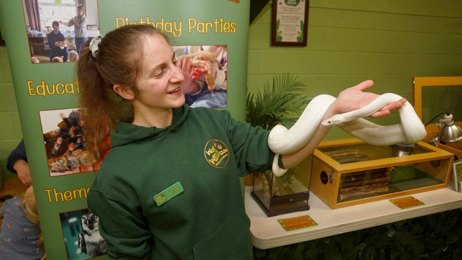 The Rainforest Retreat Play Cafe