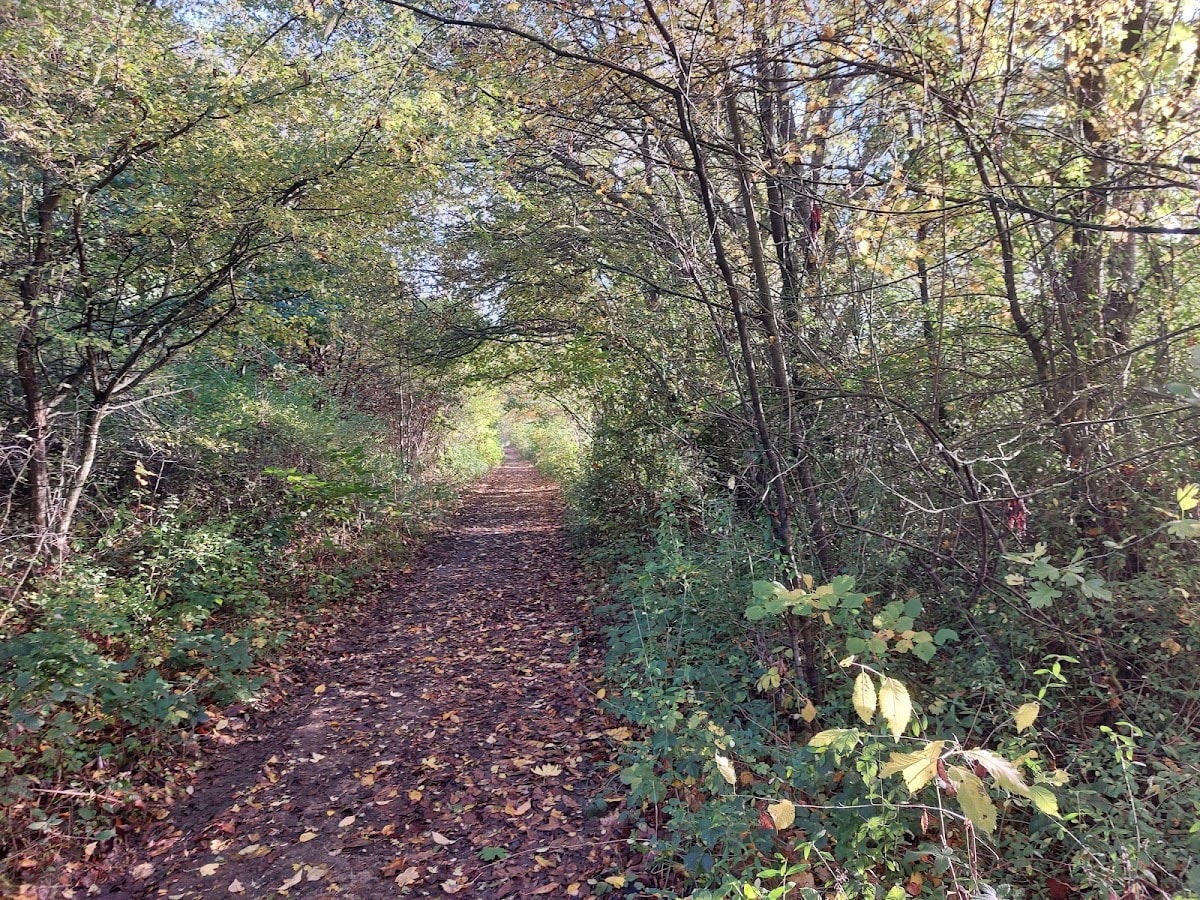 Kirkstall Valley Nature Reserve