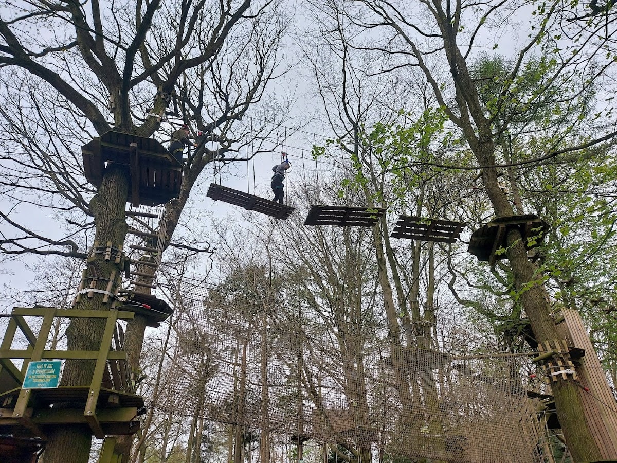 Go Ape Temple Newsam