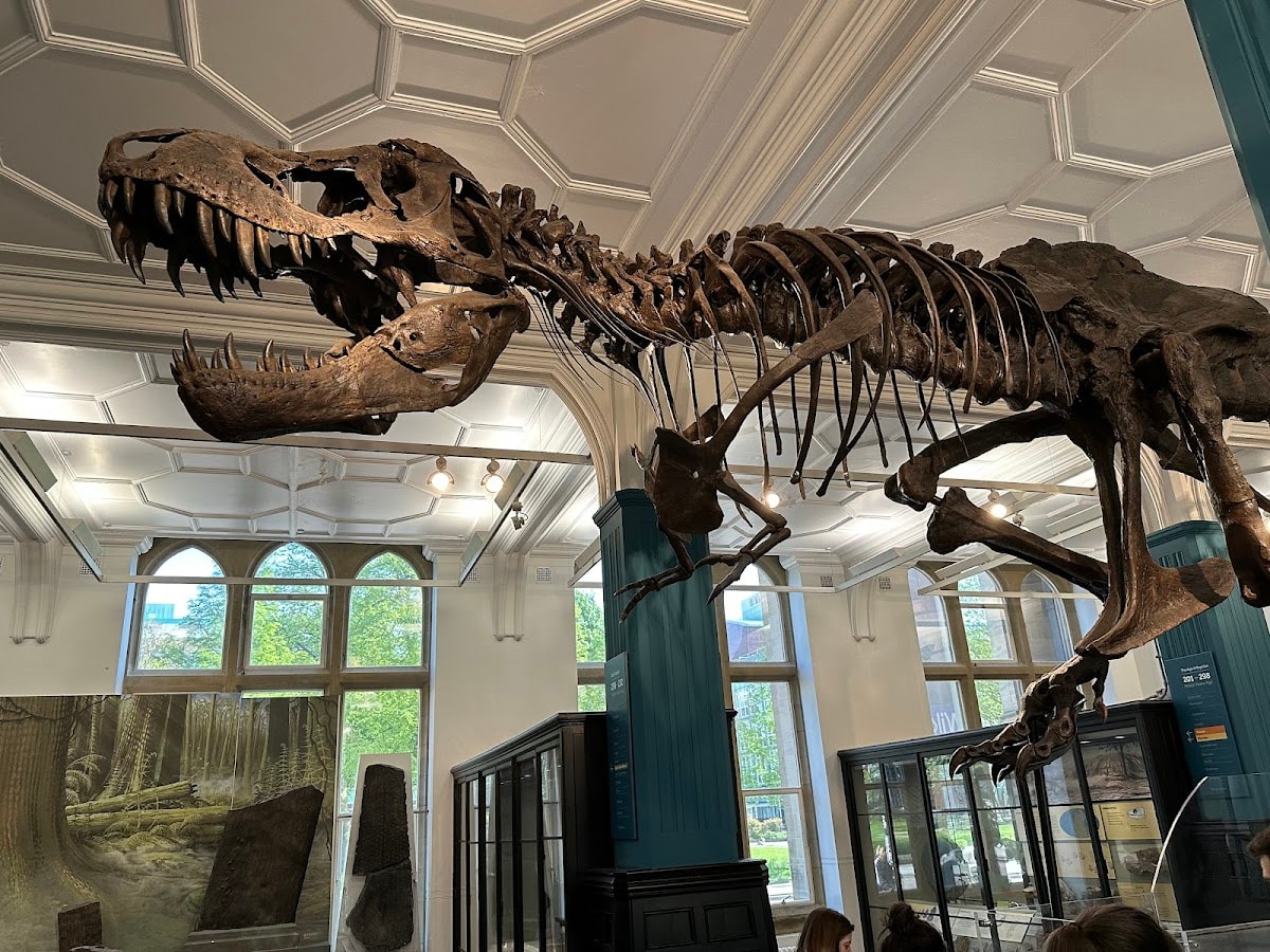 Manchester Museum