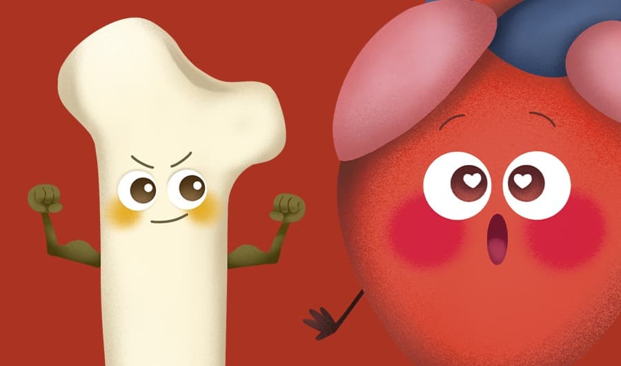 May Half Term: Amazing Anatomy