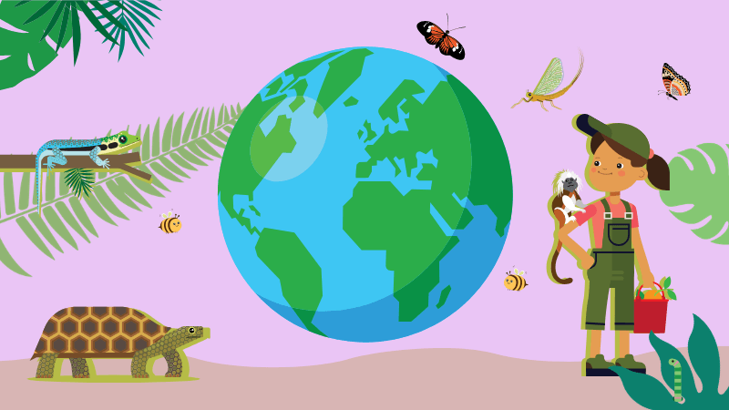 Conservation: Today and Tomorrow