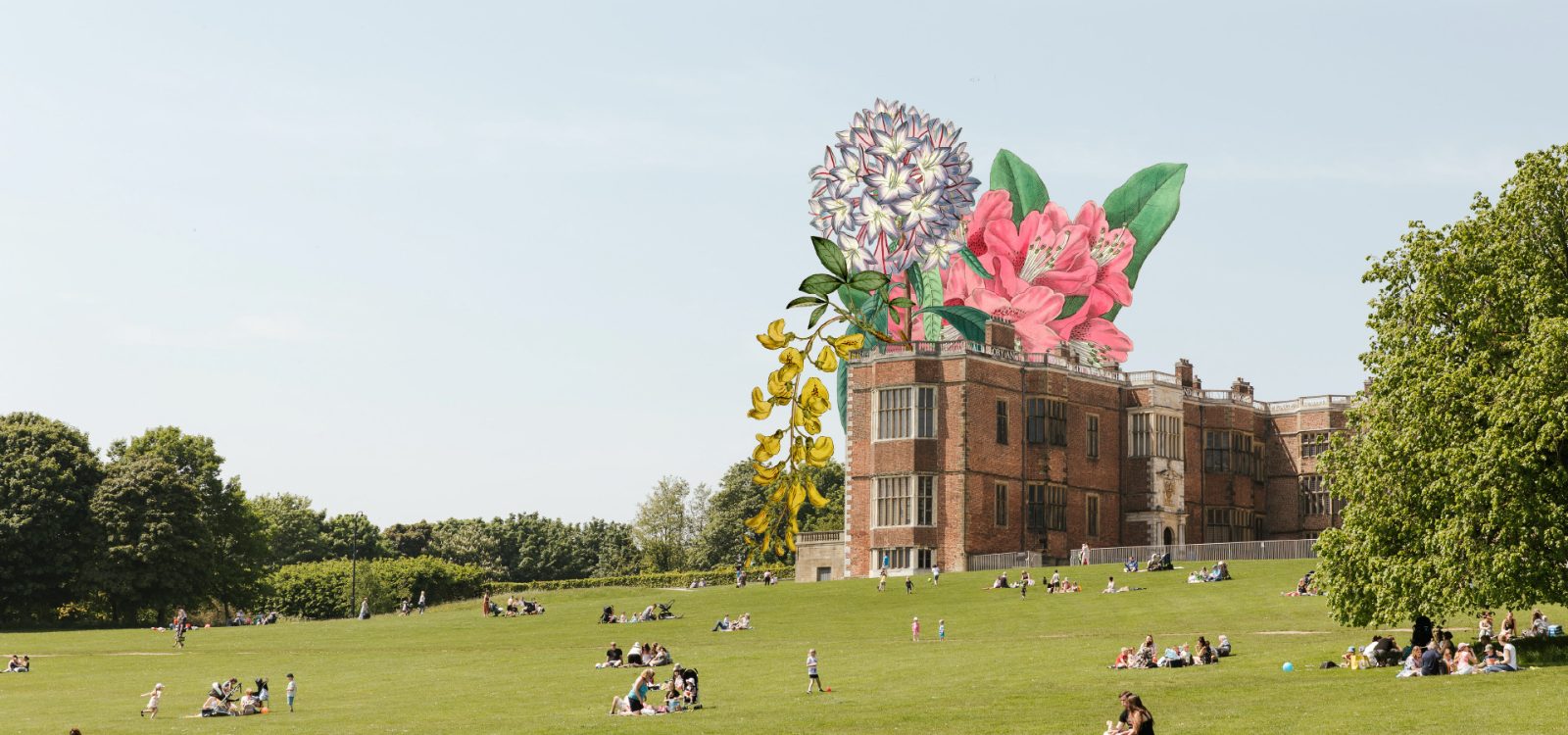 Summer Holidays: Plant Power!
