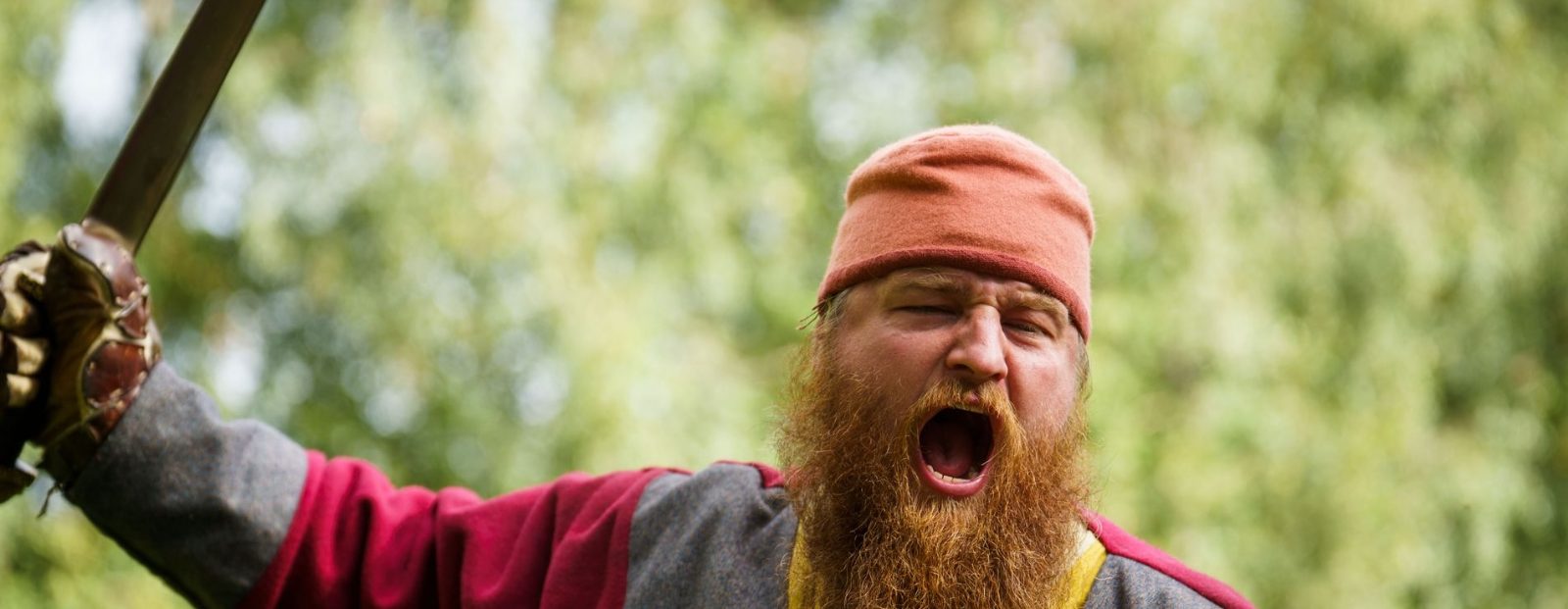 Volsung Vikings