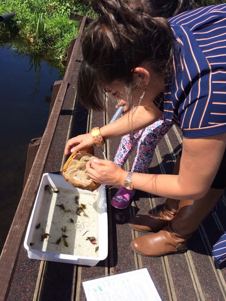 Supervised Pond Dipping
