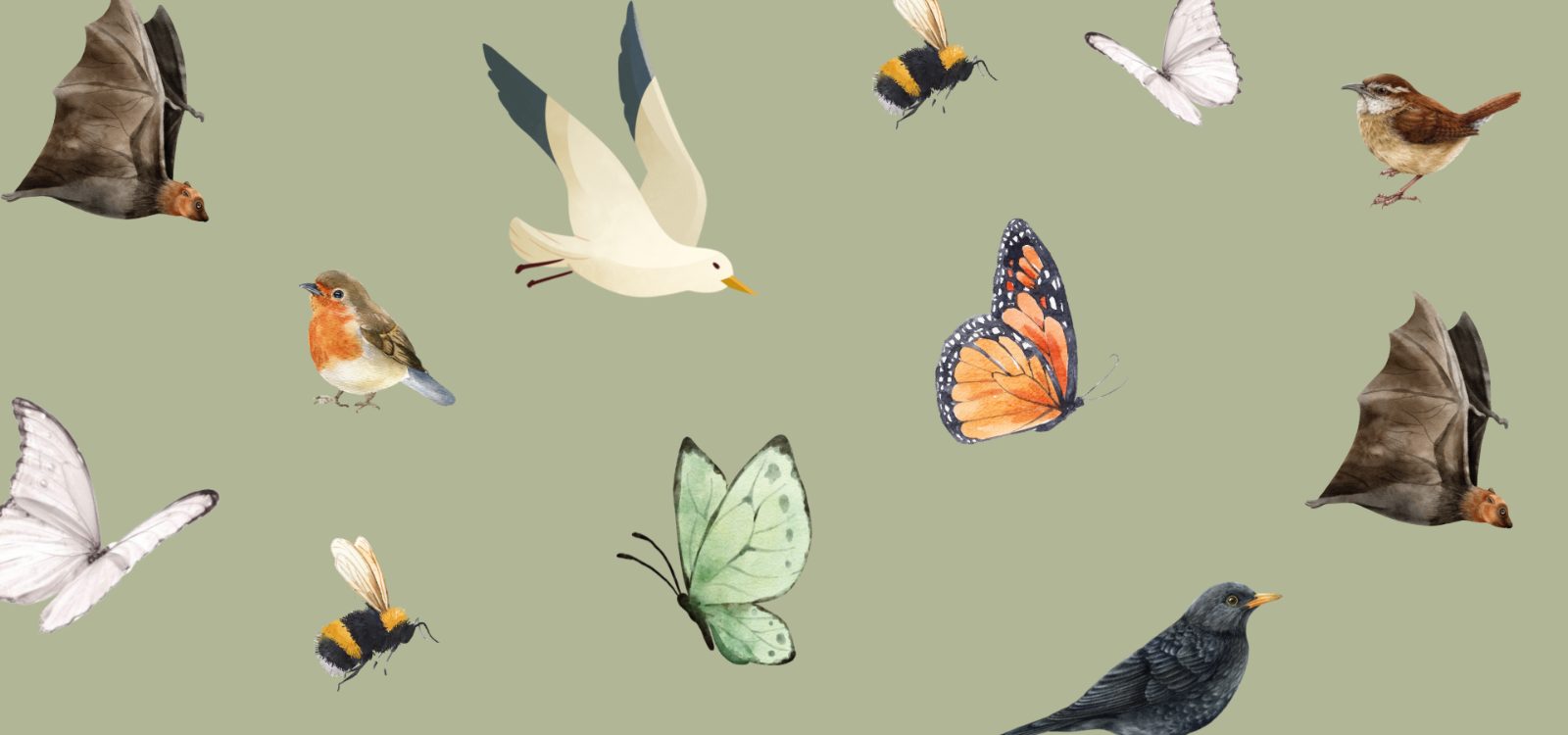 Birds, Bees, Bats & Bugs