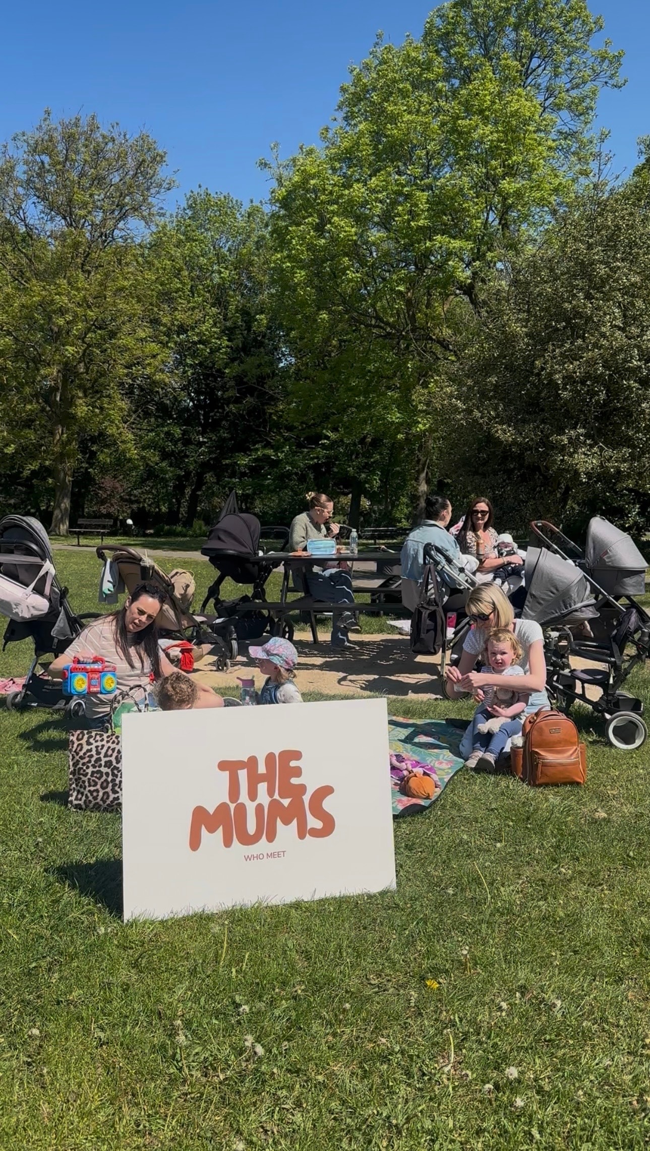 The Mums Who Lunch