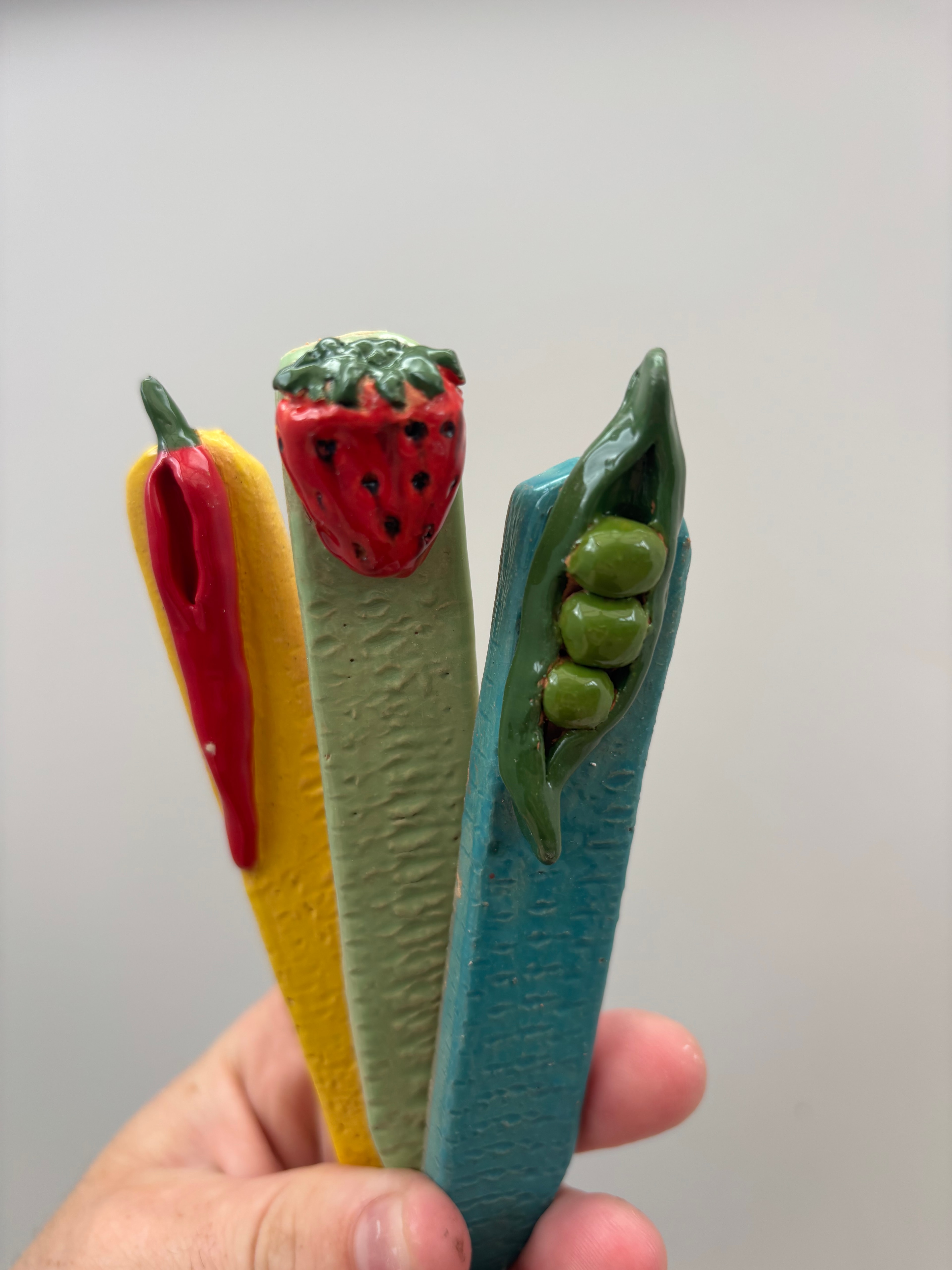 Plant Sticks