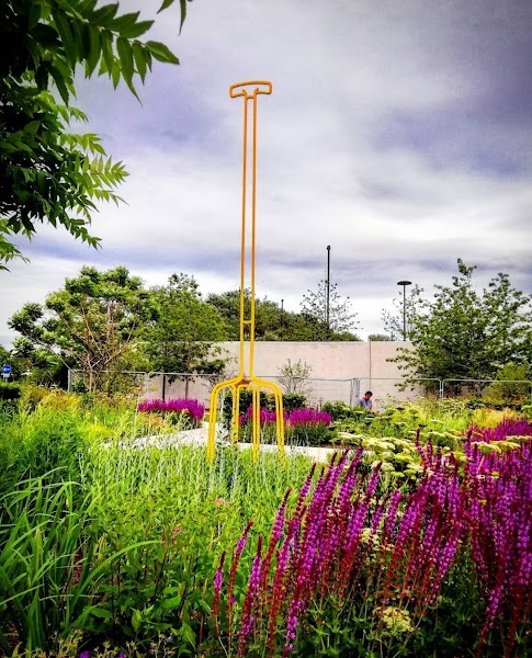 The Hepworth Garden