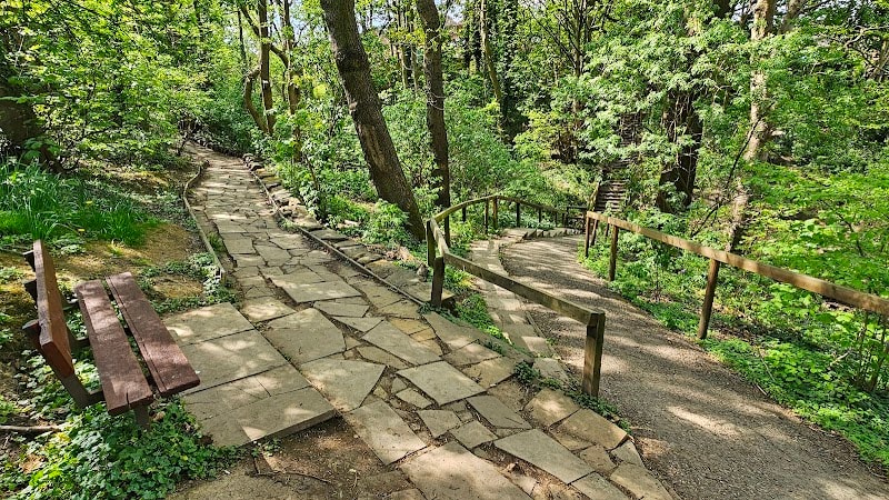 Churwell Urban Woodlands - Daffil Woods