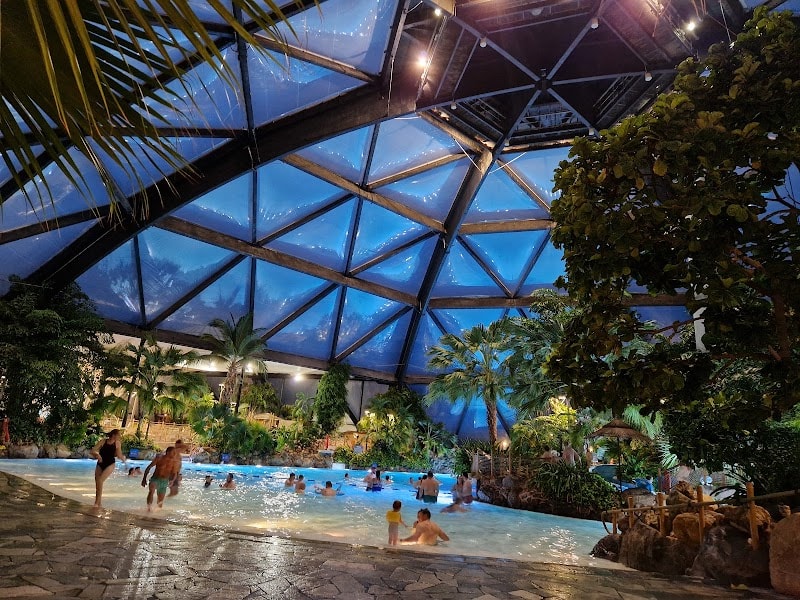 Subtropical Swimming Paradise