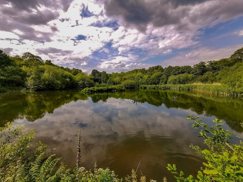 Adel Dam Nature Reserve