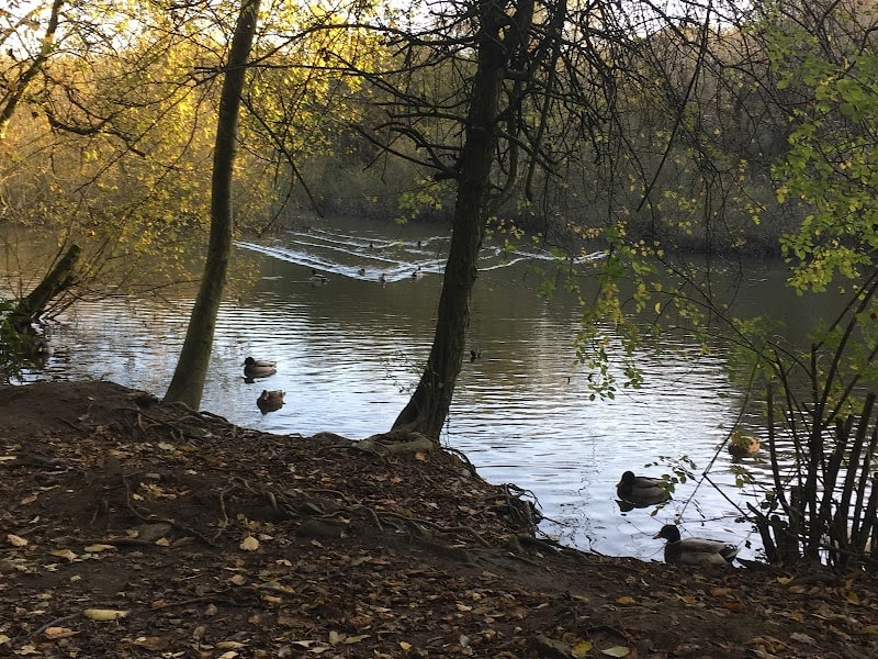 Watford Lodge Nature Reserve