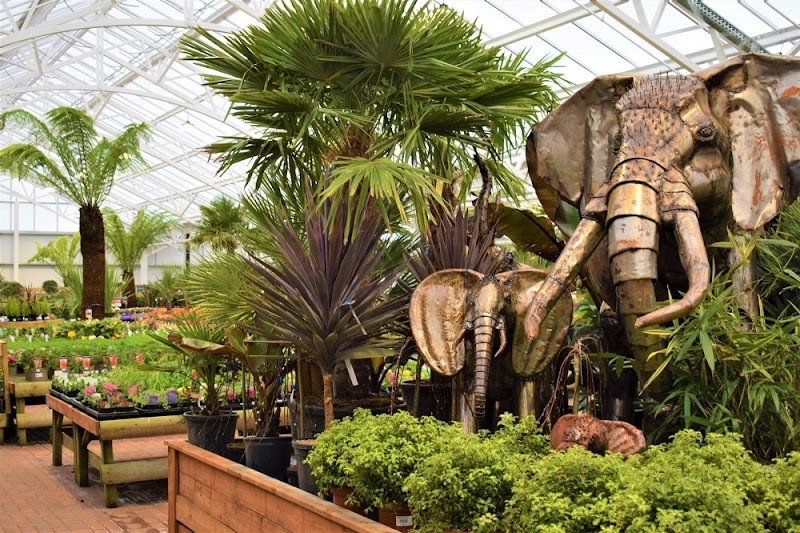 Tong Garden Centre Cafe