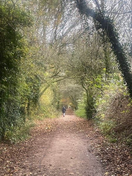 Kirklees Valley Local Nature Reserve