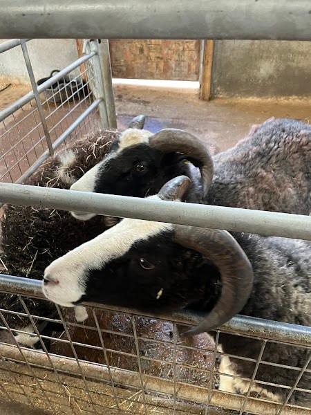 Wentworth Family Farm